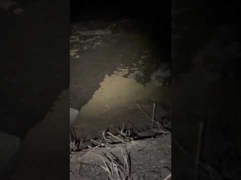 ΑΛΛΗ ΜΙΑ ΜΗ ΛΕΙΤΟΥΡΓΙΑ ΒΙΟΛΟΓΙΚΟΥ ΚΑΘΑΡΙΣΜΟΥ